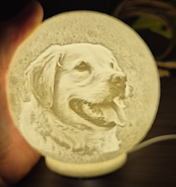 Lithofaan Light Art