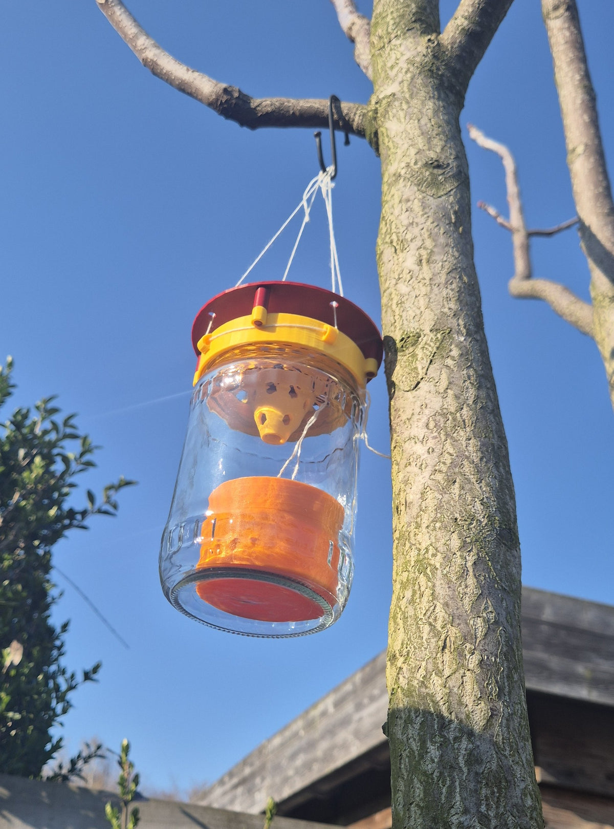 Bokaal hoornaarval hanger/staander| Lokaal & Ecologisch (kopie)